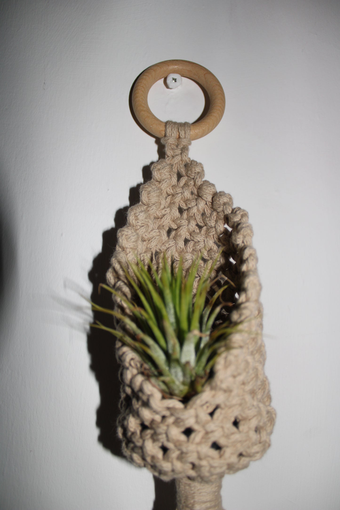 Mini Macramé plant pot holders