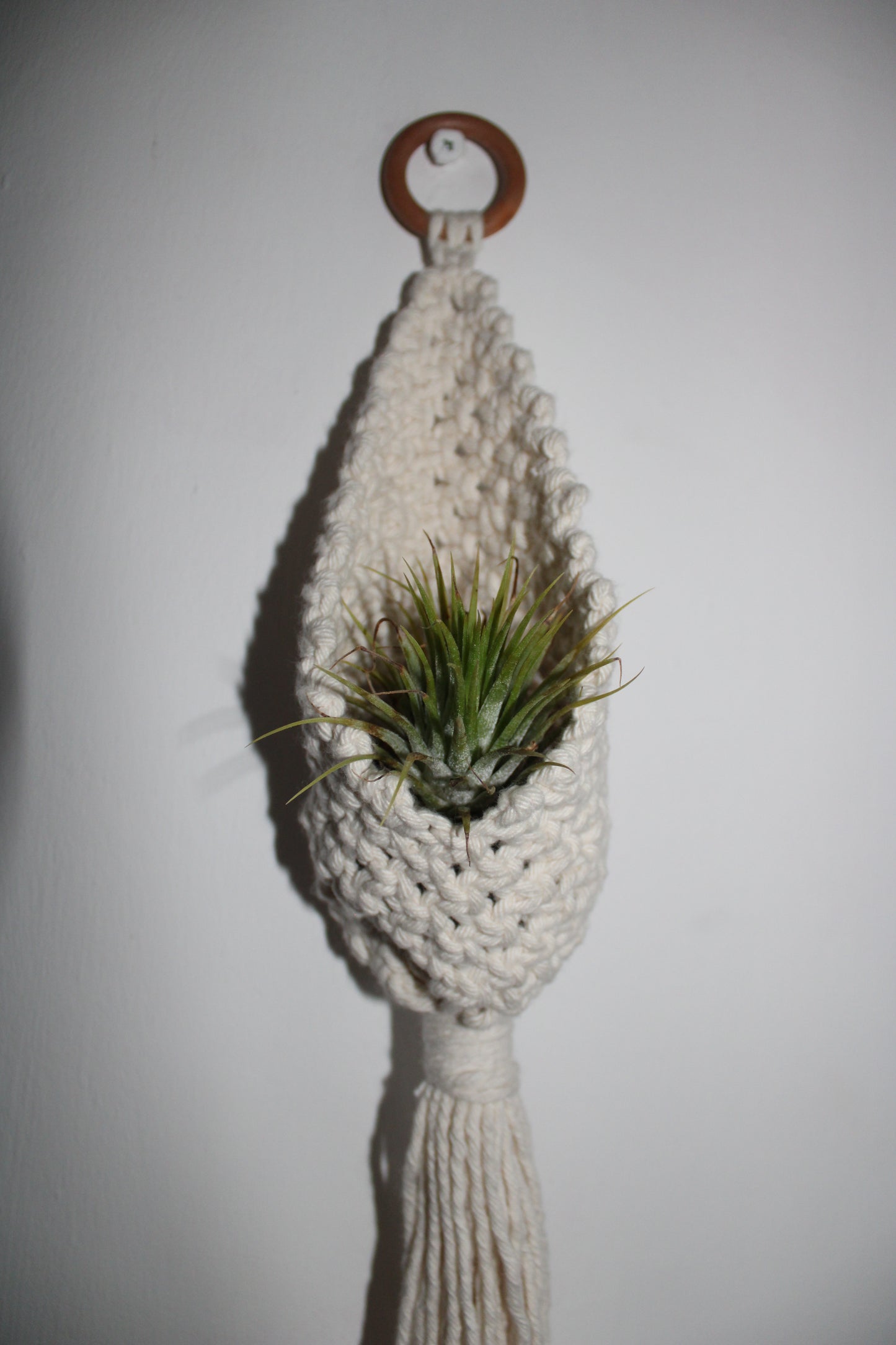 Mini Macramé plant pot holders